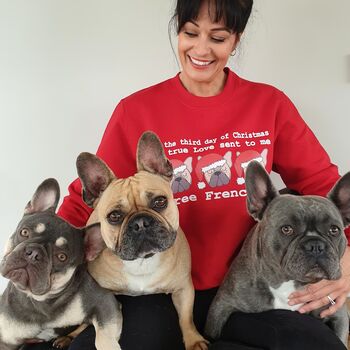 Three Frenchies Christmas Jumper, 3 of 4