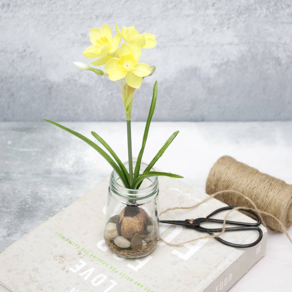 Silk Daffodil With Bulb In Glass Vase By Abigail Bryans Designs