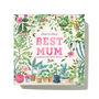 Best Mum Chocolate Truffle Box, thumbnail 3 of 3