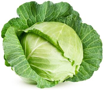 Vegetable Multipack Three Varieties 36 X Large Package, 6 of 6