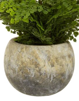 Faux Fern In Dipped Cement Pot, 4 of 4