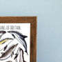 Dolphins Of Britain Wildlife Print, thumbnail 7 of 9