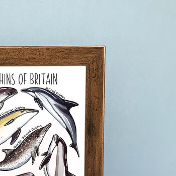 Dolphins Of Britain Wildlife Print, 7 of 9