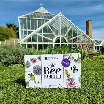 Bee Border Cambridge University Botanic Garden, 3 of 3