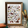Garden Insects Of Britain Wildlife Print, thumbnail 1 of 7