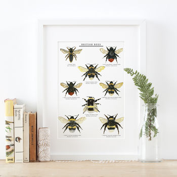 British Bees Illustrated Giclée Print, 3 of 6