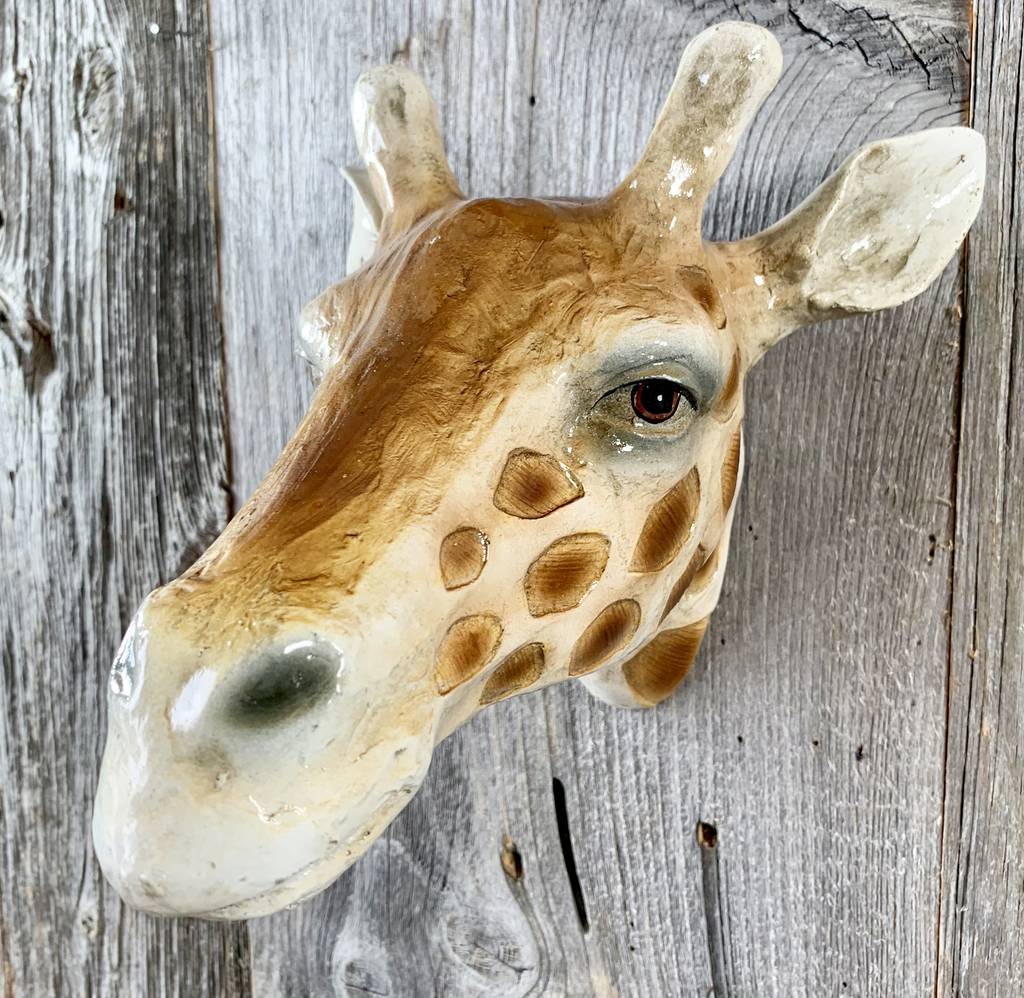 Giraffe Head Wall Art By London Garden Trading | notonthehighstreet.com