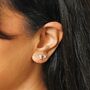 Set Of Four Crystal Celestial Stud Earrings, thumbnail 5 of 10