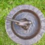Cast Iron Metal Bird Bath And Feeder Bowl With Sundial Brown Garden, thumbnail 3 of 6