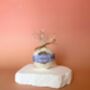The Relaxing Bath Bomb, thumbnail 4 of 5