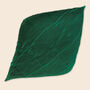 Forest Green Colour Pleated Silky Scarf, thumbnail 4 of 4
