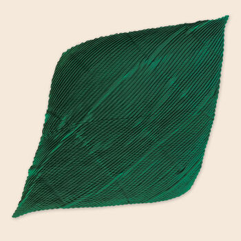 Forest Green Colour Pleated Silky Scarf, 4 of 4