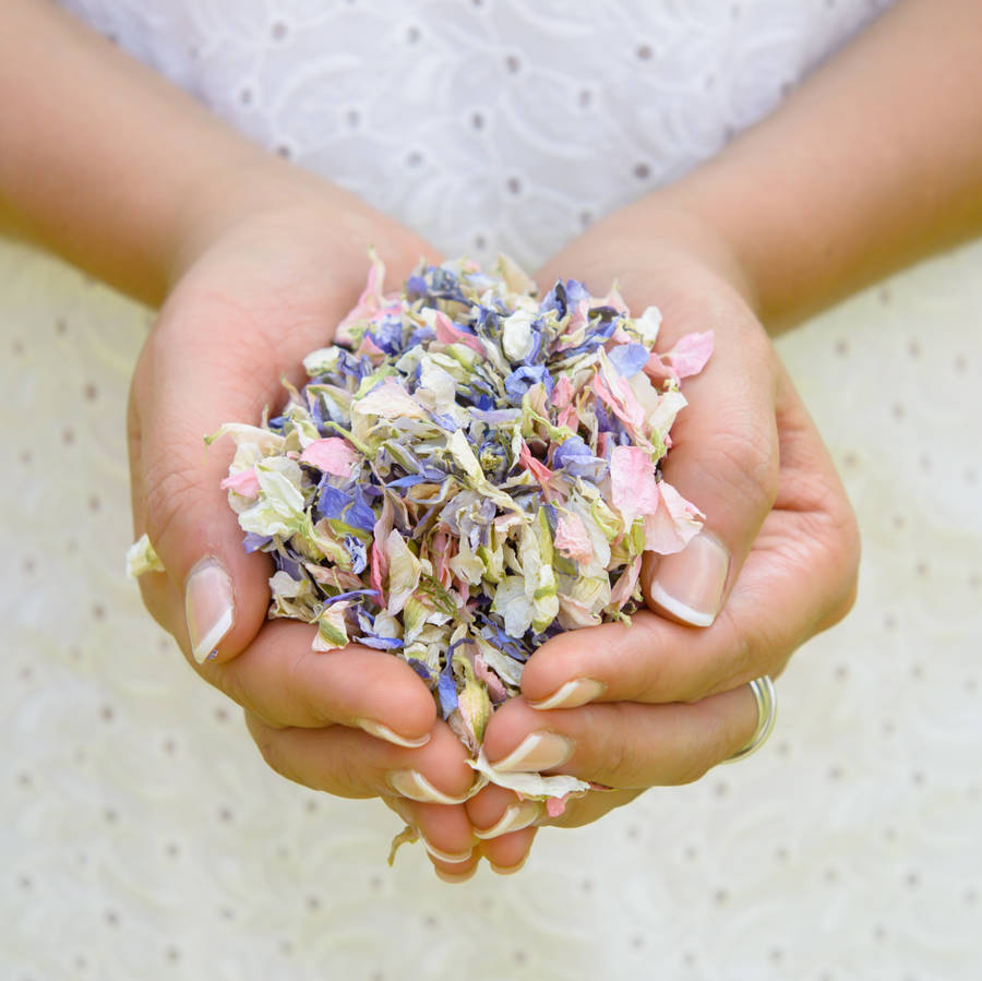 Shropshire Petals Confetti Biodegradable Wedding Confetti, Eco-friendly  Flower Petal Confetti