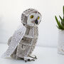 Build Your Own Personalised Snowy Owl, thumbnail 10 of 10