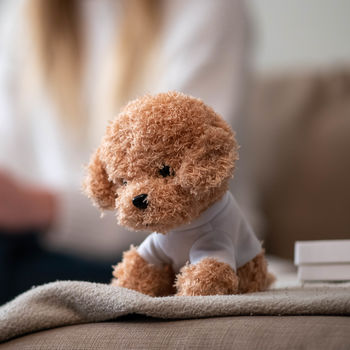 personalised soft toy dog