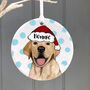 Christmas Personalised Dog Decoration, thumbnail 11 of 12