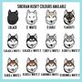 Siberian Husky Lover T Shirt, thumbnail 4 of 6