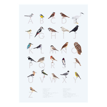 Alphabetical British Garden Bird Print A Z, 2 of 4