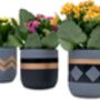 Three Set Of Small Ceramic Indoor Plant Pots, thumbnail 4 of 7