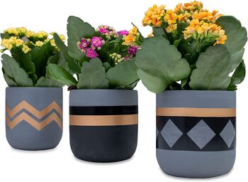 Three Set Of Small Ceramic Indoor Plant Pots, 4 of 7