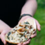 Foraging And Cook For Two, thumbnail 6 of 8