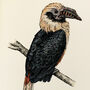 V Is For Visayan Hornbill Bird Illustration Print, thumbnail 2 of 6