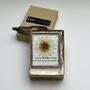 Personalised Handmade Paper Pressed Daisy Mini Framed Gift, thumbnail 4 of 7