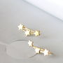 Sterling Silver Stars Ear Studs, thumbnail 4 of 5