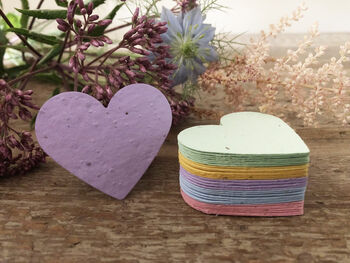 Eco Friendly Plantable Multicoloured Seed Paper Hearts, 10 of 11