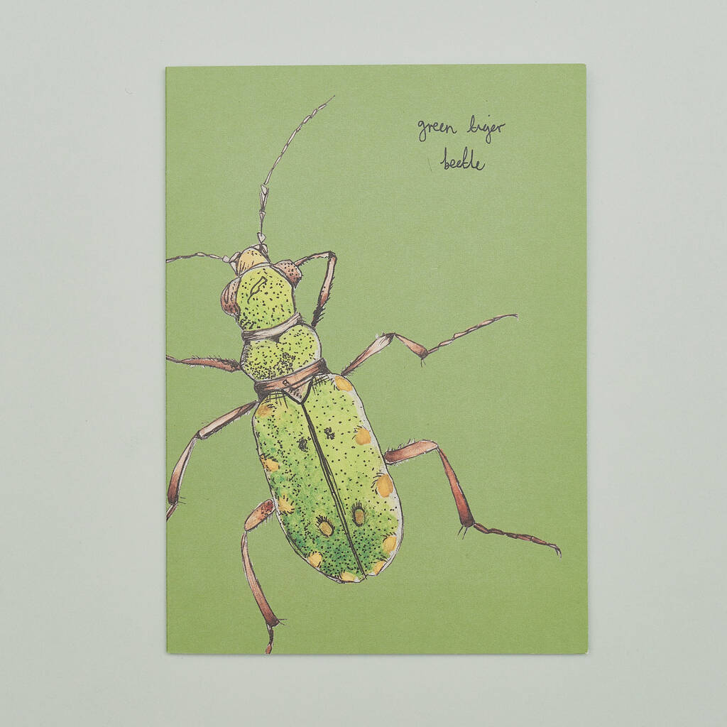 Handmade Greeting Card Tiger Beetle, Recycled Card, 1 of 7