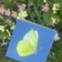 Brimstone Yellow Illustrated Butterfly Blank Card, thumbnail 3 of 3