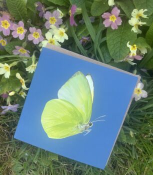 Brimstone Yellow Illustrated Butterfly Blank Card, 3 of 3