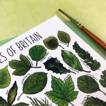 Tree Leaves Of Britain Art Blank Greeting Card, 6 of 12