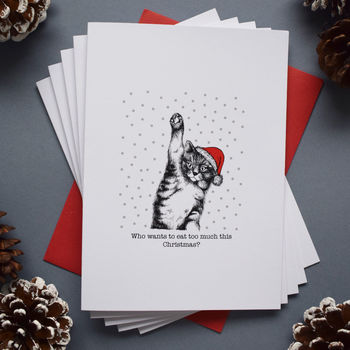 Funny Fat Cat Christmas Card Or Pack, 2 of 2