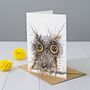 Wide Eyed Owl Greeting Card, thumbnail 1 of 2