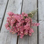 Cherry Blossom Pink Dried Flower Delphinium Bunch, thumbnail 1 of 3