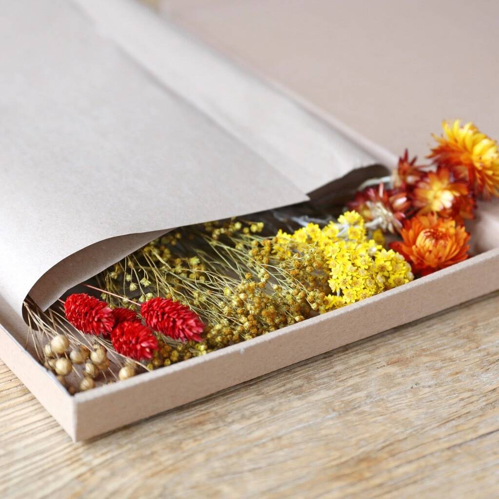 Wilderflower Bright Cut Dried Flowers Letterbox Gift By Lisa Angel