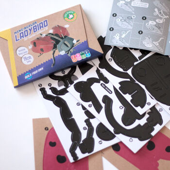 Build Your Own Personalised Ladybird Kit, 12 of 12