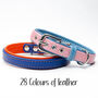 Padded Leather Dog Collar, thumbnail 1 of 7