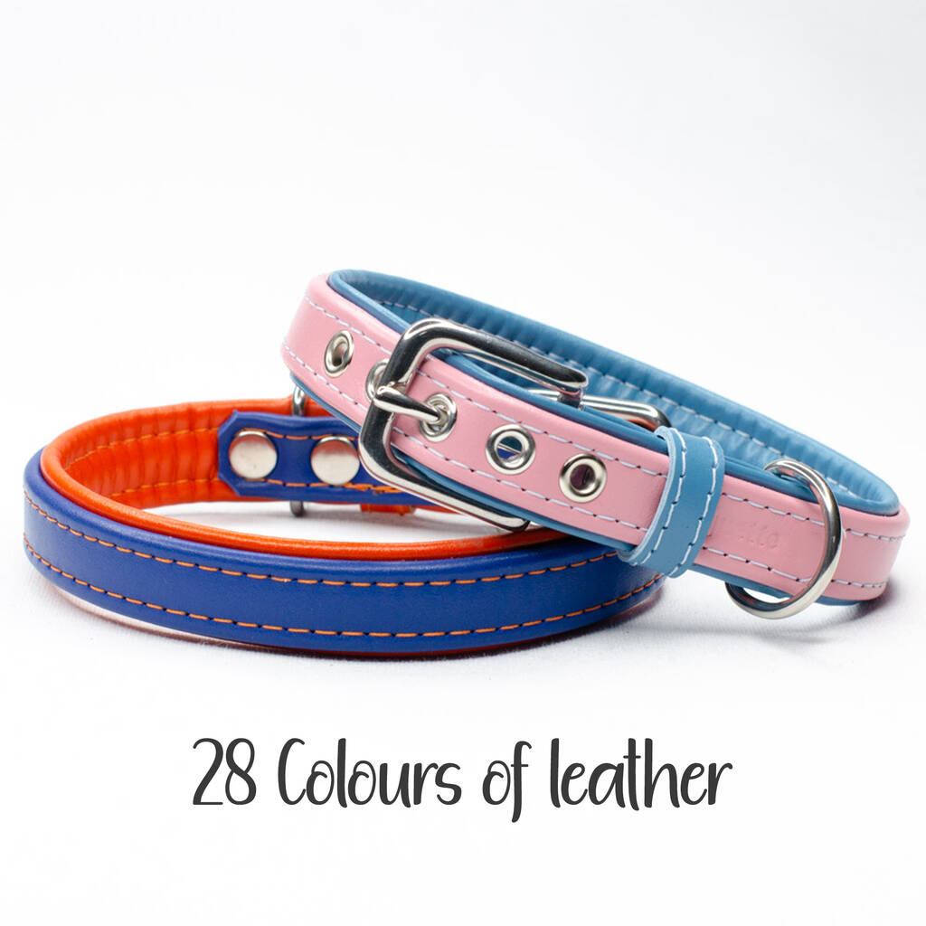 Padded Leather Dog Collar, 1 of 7