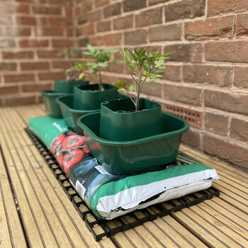 Three Thirsty Tomato Grow Bag Pots Watering Aid Kit, 5 of 11