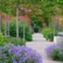 Visit Rhs Garden Bridgewater Day: A Garden Lover's Paradise. For Two, thumbnail 2 of 11