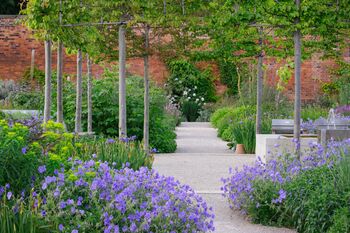 Visit Rhs Garden Bridgewater Day: A Garden Lover's Paradise. For Two, 2 of 11