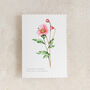 Anemone Floral Watercolour Greeting Card, thumbnail 2 of 2