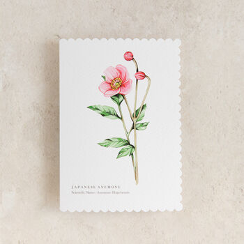 Anemone Floral Watercolour Greeting Card, 2 of 2