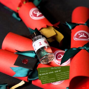 Four Craft Gin Christmas Crackers, 2 of 4