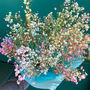 Rainbow Candyfloss Dried Gypsophila Bouquet, thumbnail 1 of 9