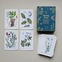 50 Healing Plants Botanical Cards, thumbnail 1 of 4