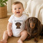 Personalised Dog Babygrow Choice Of Breeds, thumbnail 2 of 12