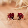 Sterling Silver Preserved Rose Stud Earrings, thumbnail 1 of 5